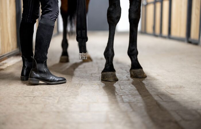 Jest to choroba całego organizmu, która przejawia się poprzez zmiany w obrębie kopyt. To ostre zapalenie tworzywa kopytowego, które okrywa kość kopytową.