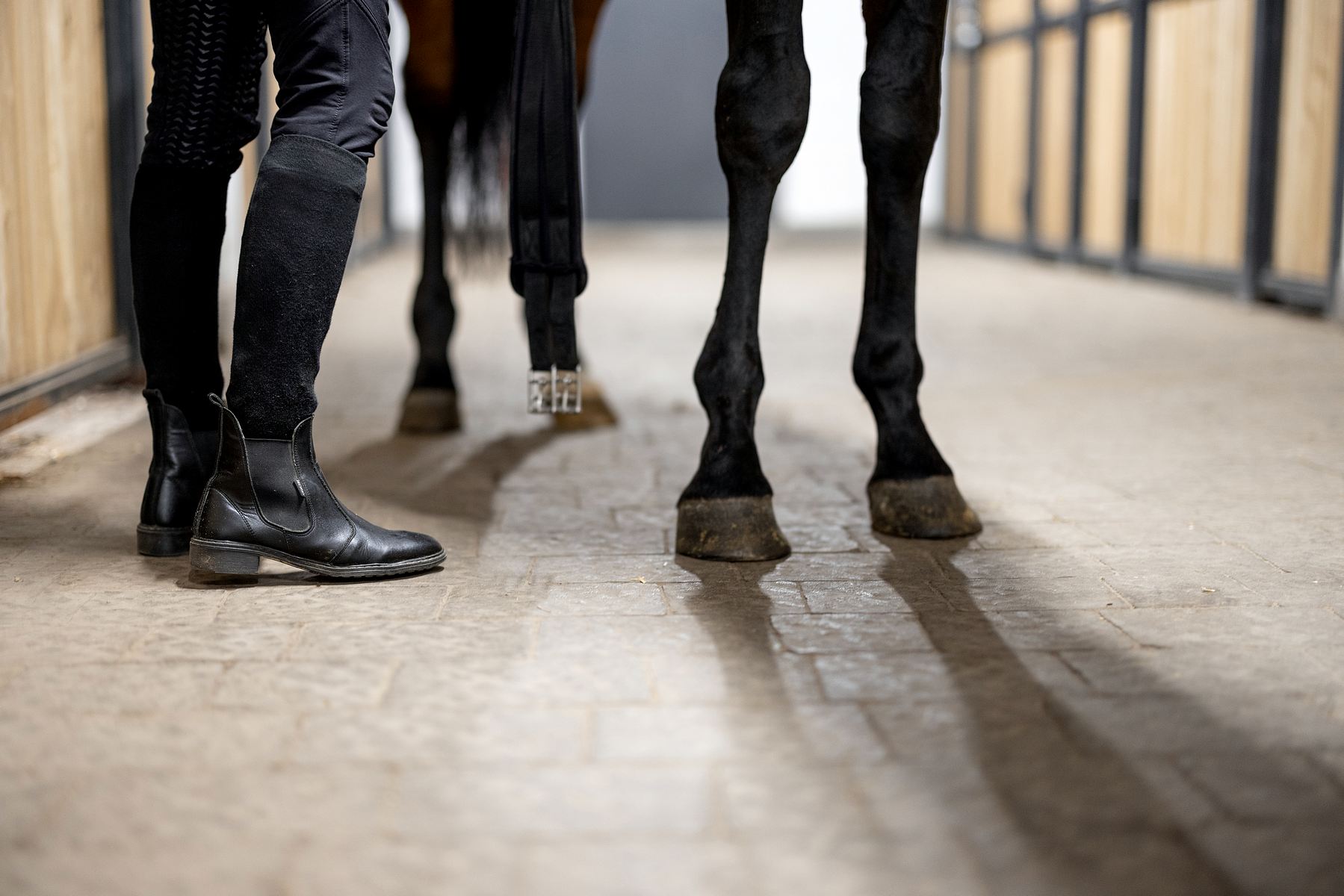 Jest to choroba całego organizmu, która przejawia się poprzez zmiany w obrębie kopyt. To ostre zapalenie tworzywa kopytowego, które okrywa kość kopytową.